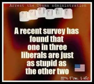 liberals are stupid