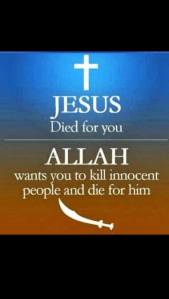 11045643_10205602736215396_1273322138_o