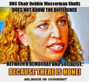 Democrats are Socialists