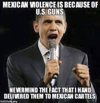 Obama guns