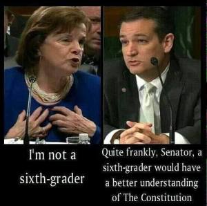Cruz v Boxer