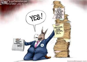 democrat gun control