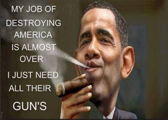 evil obama guns