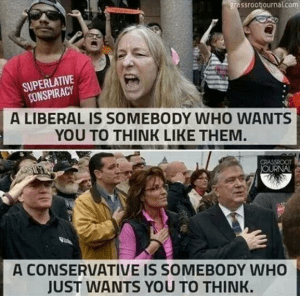 liberals cant think