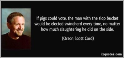 pig vote