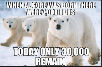 Polar Bears