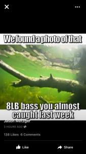 8lb bass