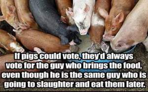 Democrats are like pigs