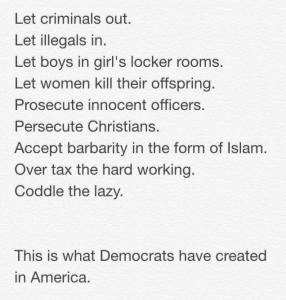 Democrats have created