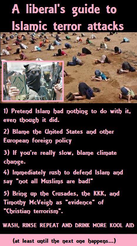 liberal guide to terrorism.jpg