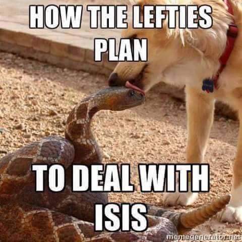 liberals vs ISIS