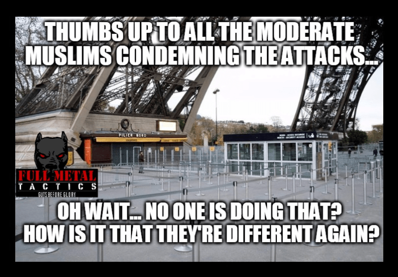 moderate muslim 2.png