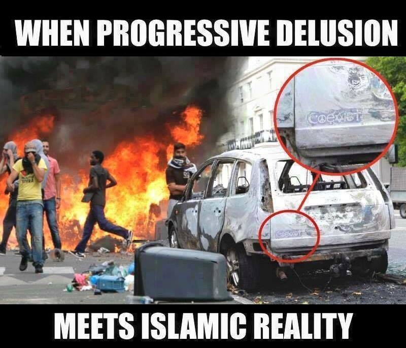 progressive delusion.jpg