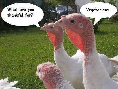 thankful turkeys.jpg