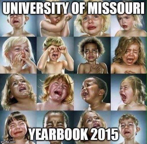 Univ of Mizzou.jpg