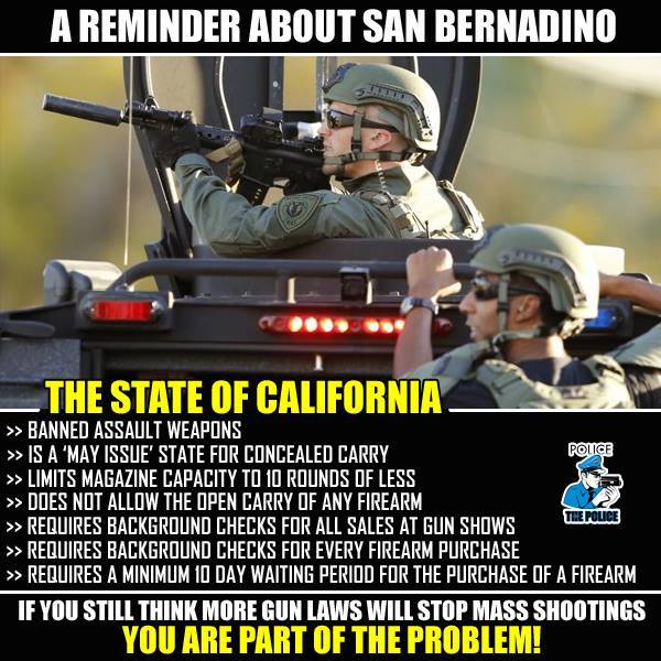 San Bernadino gun control.jpg