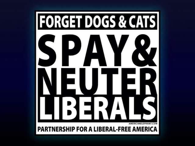 spay and neuter.jpg