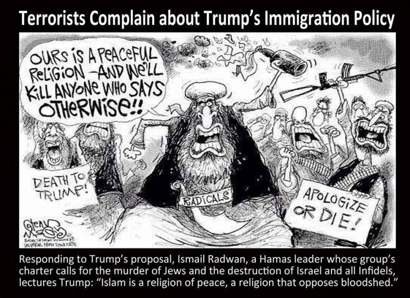 Trump immigration policy.jpg