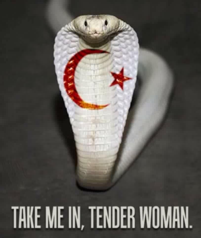 Islam snake.jpg