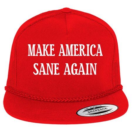Make America Sane Again.jpg