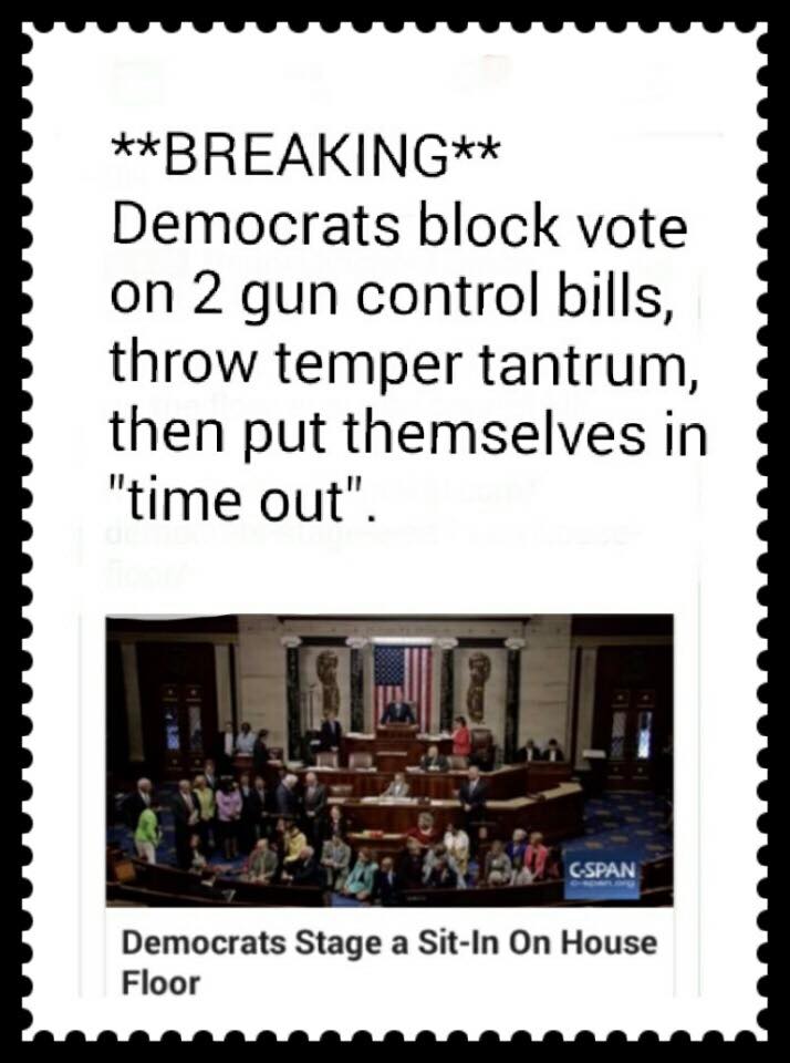 Democrat sit in 3.jpg