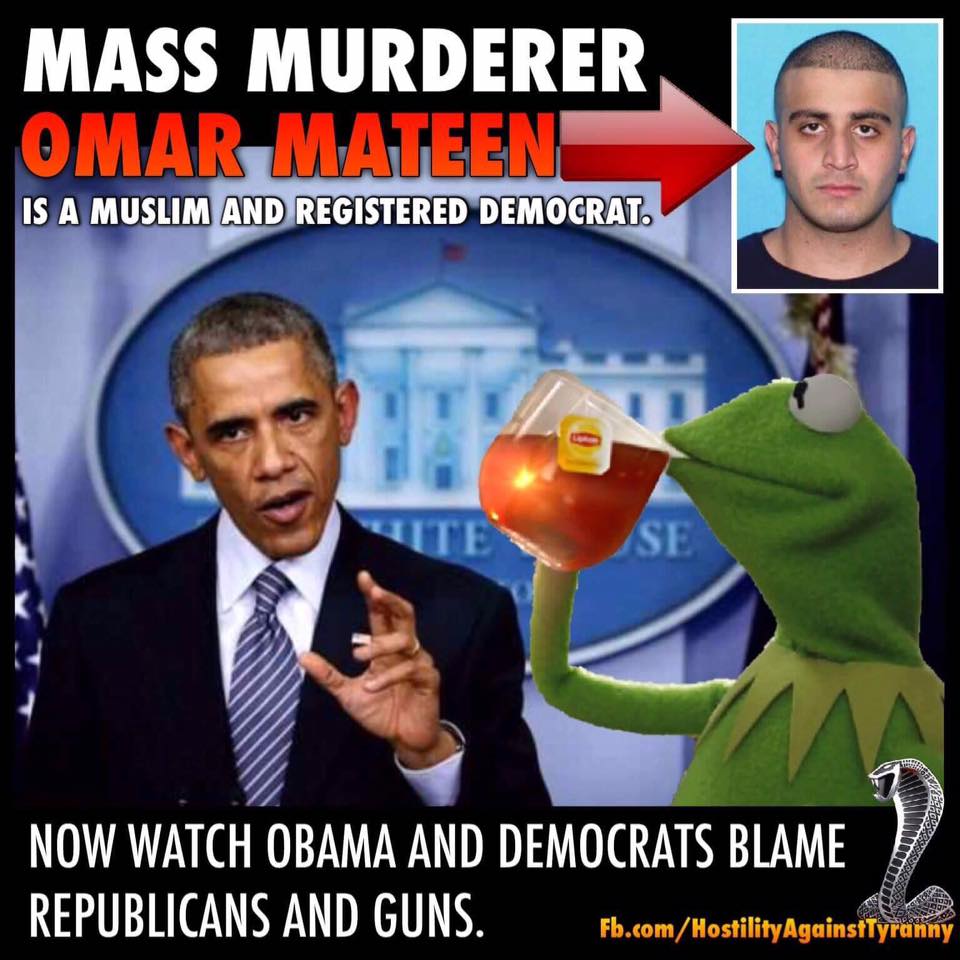liberal leaders blame guns.jpg