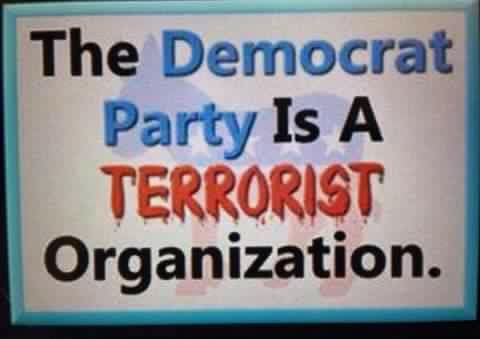 Democrat terrorist.jpg