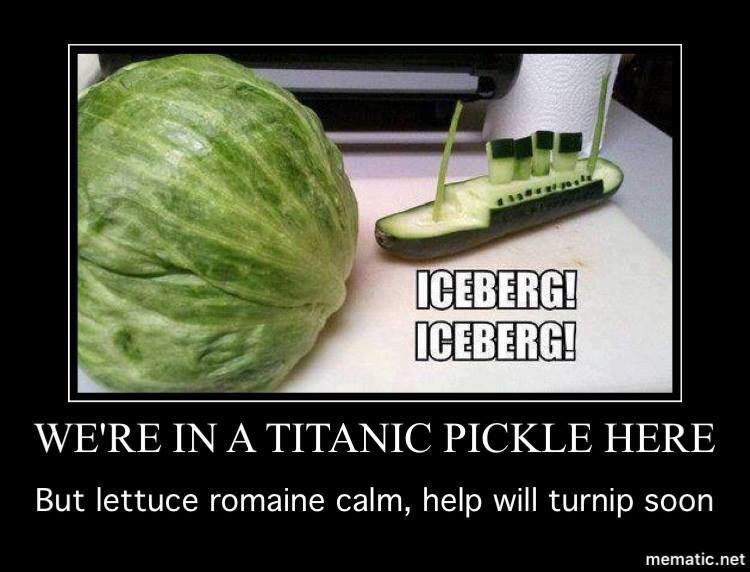 titanic pickle.jpg