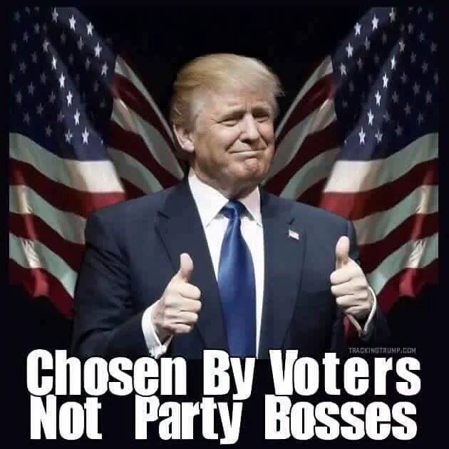 Trump voters choice.jpg