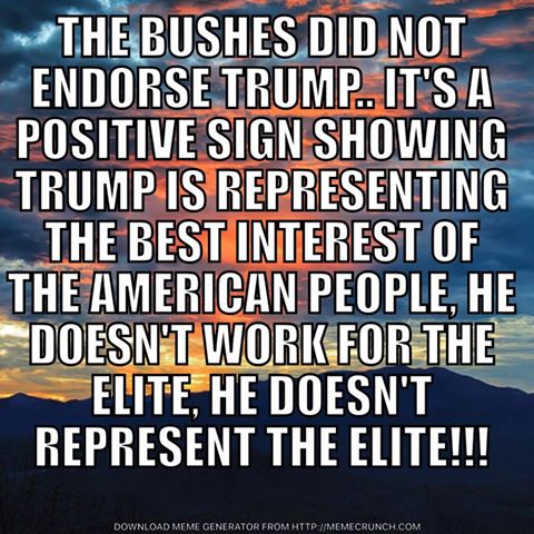 Bush did not endorse.jpg
