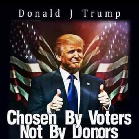 Chosen by Voters.jpg