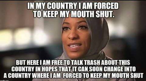 Muslim ingrats.jpg