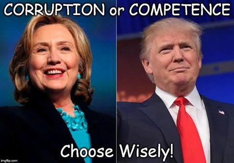 USA Presidential Choice.jpg