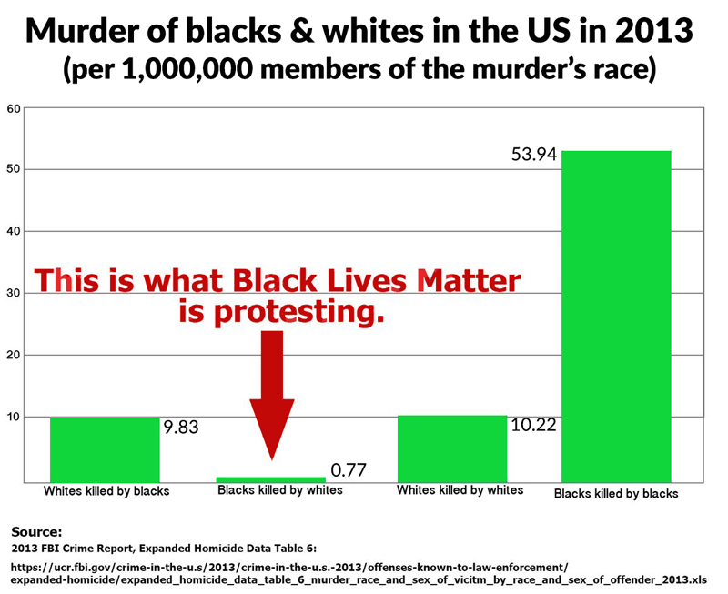 blm fraud.png