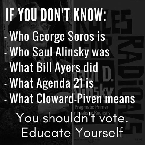 do you know enough to vote intelligently.jpg