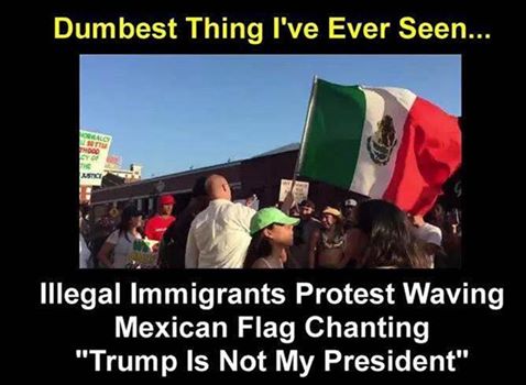 illegals demonstrating.jpg
