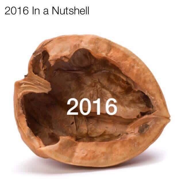 2016 in a nutshell.jpg