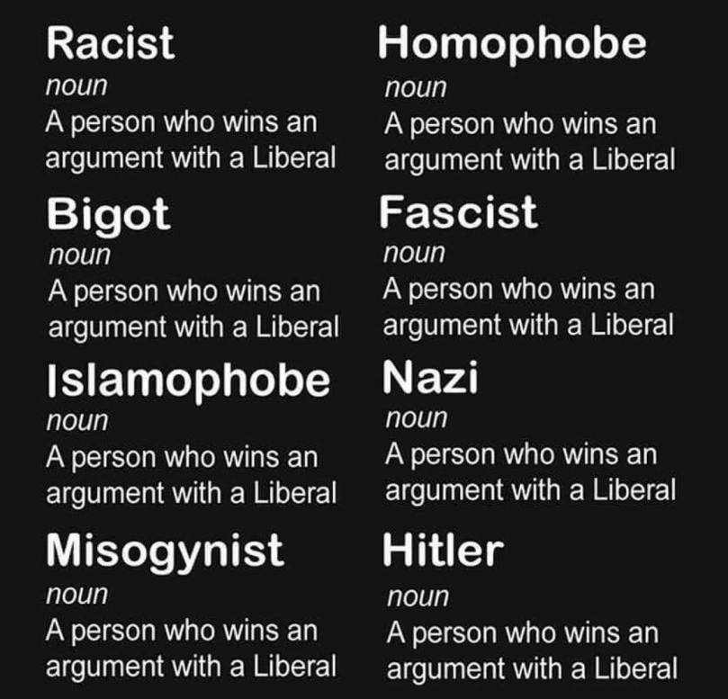 democrat dictionary.jpg