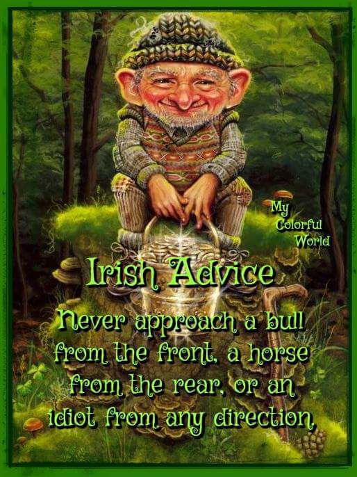 Irish Advice.jpg